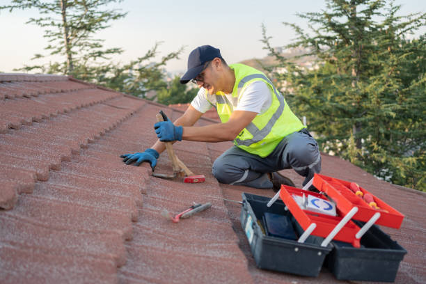 Best Roof Waterproofing Services  in Napili Honokowai, HI